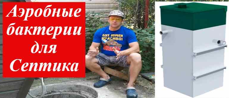 Невидимые спасатели: как аэробные бактерии превращают ваши отходы в чистую воду