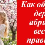 абрикосовое дерев девушка обрезает пилой на картинке