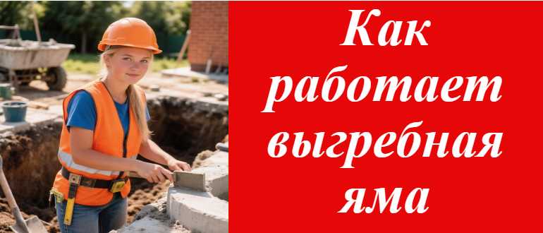 Как работает процесс разложения в выгребной яме и какая польза от ямы