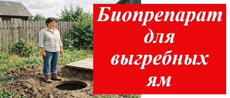 Биопрепарат: полное руководство по выбору, использованию в выгребной яме